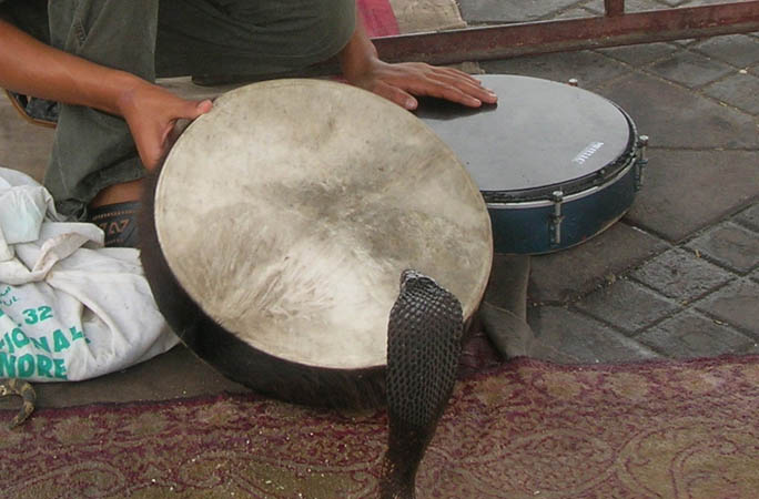 Marrakech 234 002